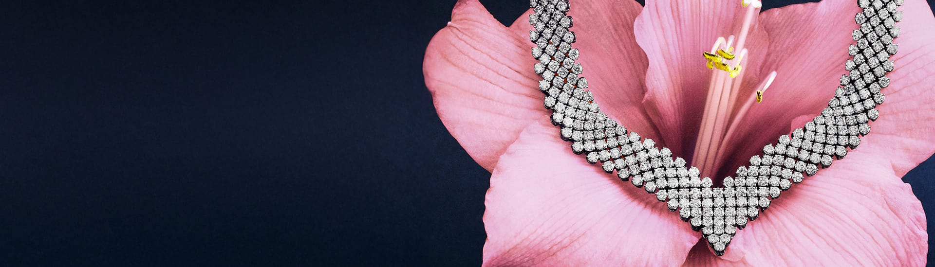 Diamond necklace elegantly draped over a vibrant pink flower against a dark background.