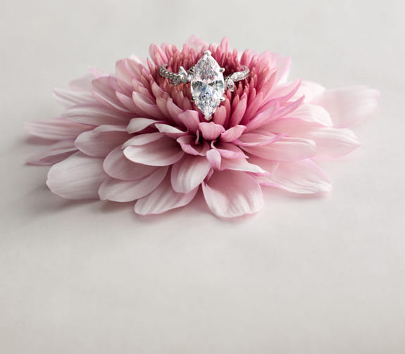 Diamond ring on a pink flower against a neutral background.